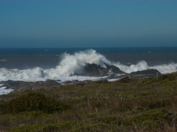 California2007-2008-031